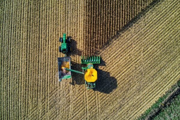 Aerial view of green tractors harvesting the crops in the large field