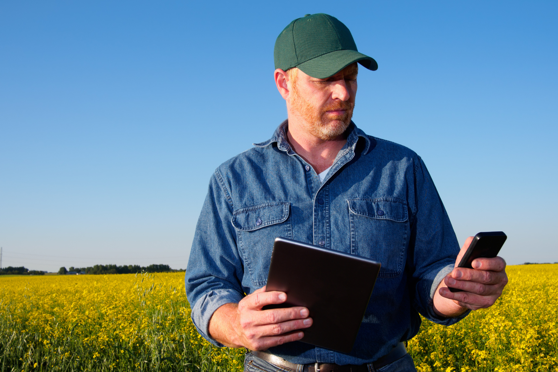 A man stands in a field, holding a clipboard in one hand and a cell phone in the other, engaged in work.